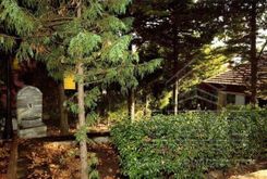 160 m2 - 1236 - photo-3