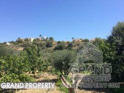 m2 -07001 - photo-4