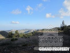 m2 -07025 - photo-1