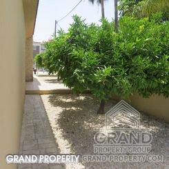 360 m2 -09502 - photo-5