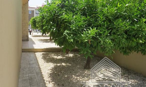 360 m2 -09502 - photo-5