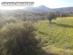 m2 -07144 - photo-1