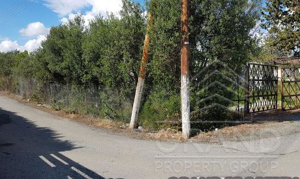 m2 -07509 - photo-1