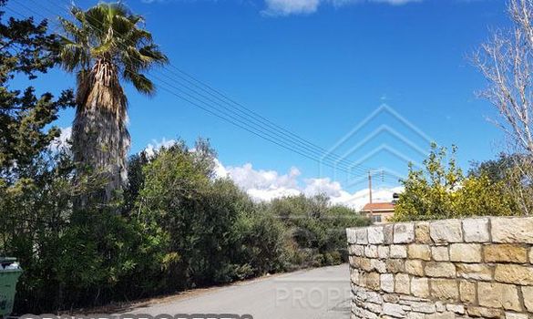 m2 -07509 - photo-3