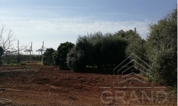 07553 - photo-4
