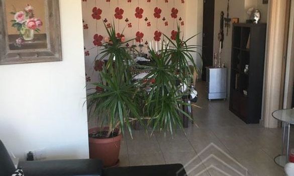 79 m2 -08258 - photo-3