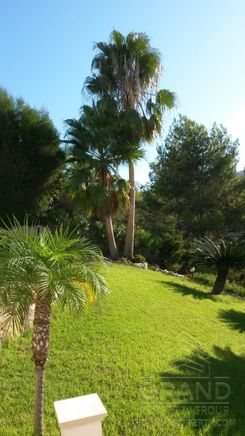 195 m2 - 06712 - photo-14