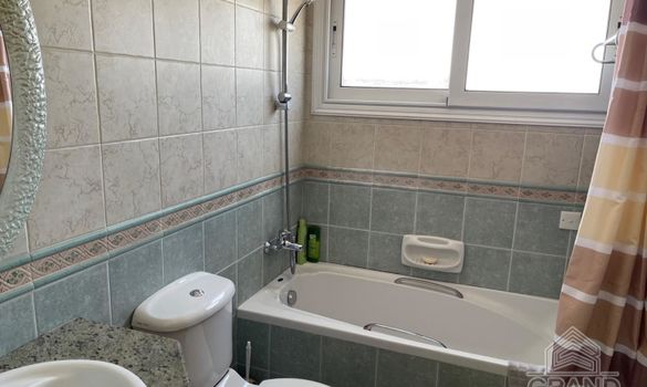 345 m2 - 06811 - photo-4
