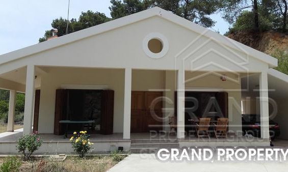 220 m2 - 06872 - photo-1