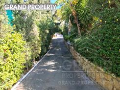 550 m2 -06878 - photo-2