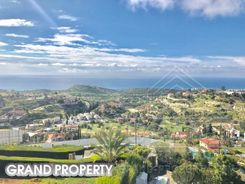 550 m2 -06878 - photo-7