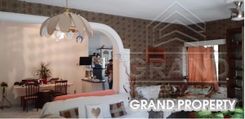 300 m2 - 06956 - photo-1