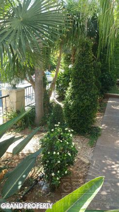285 m2 -07273 - photo-6