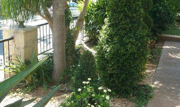 285 m2 -07273 - photo-6