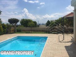 496 m2 - 07315 - photo-5