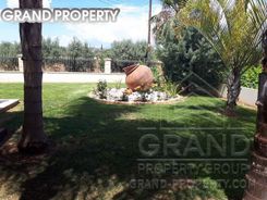 900 m2 -07362 - photo-6