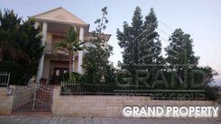 360 m2 - 07431 - photo-7
