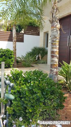 254 m2 -07487 - photo-4