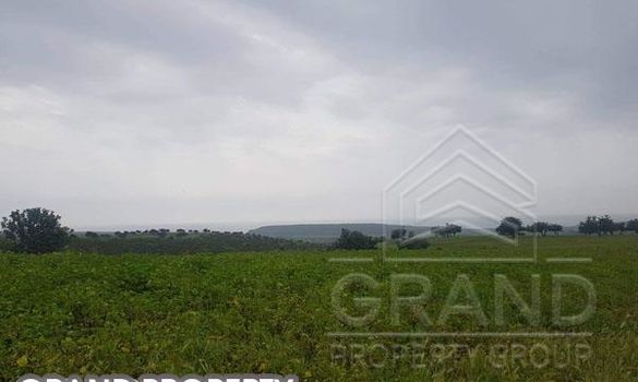m2 -06973 - photo-5