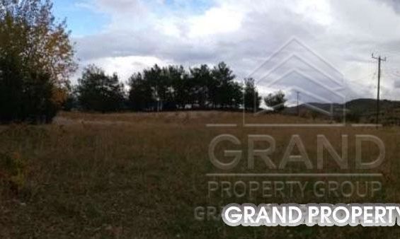 m2 -06974 - photo-1