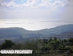 06975 - photo-1