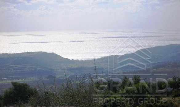 06975 - photo-1
