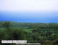 06975 - photo-2