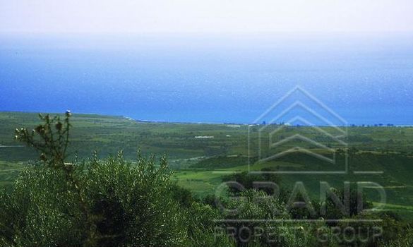 06975 - photo-2
