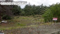 m2 -06985 - photo-1