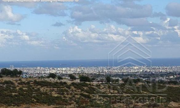 m2 -06993 - photo-3