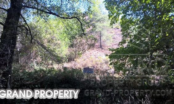 m2 -07067 - photo-2