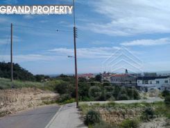 m2 -07083 - photo-5