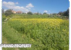 m2 -07087 - photo-3
