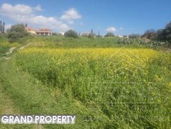 m2 -07087 - photo-2