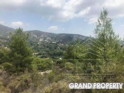 m2 -07090 - photo-1