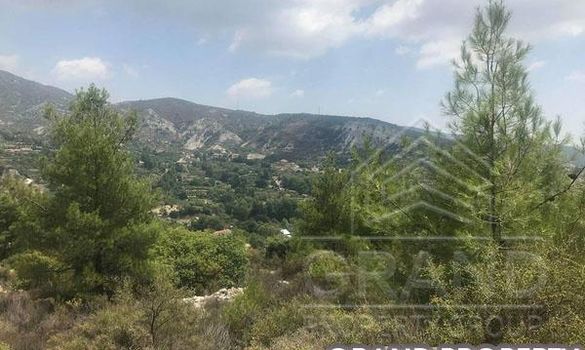 m2 -07090 - photo-1