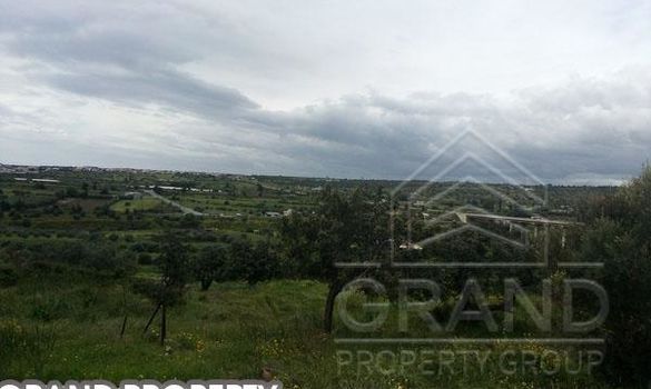 m2 -07142 - photo-1