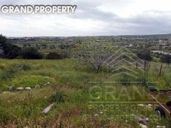 m2 -07142 - photo-4
