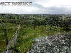 m2 -07142 - photo-2
