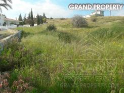 m2 -07143 - photo-6