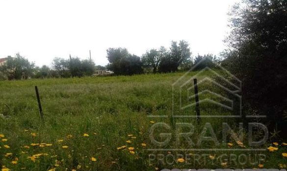 m2 -07156 - photo-1
