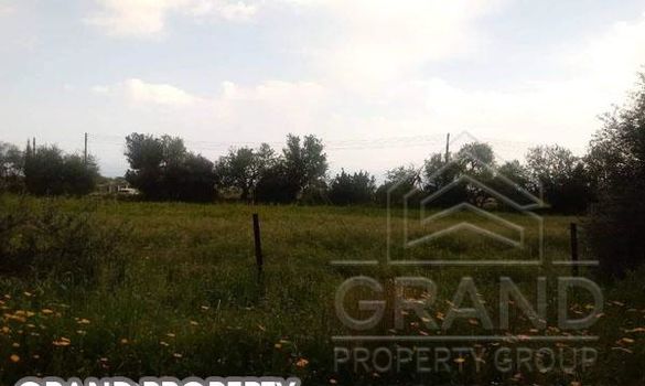 m2 -07156 - photo-3
