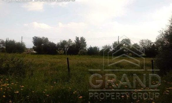 m2 -07156 - photo-4