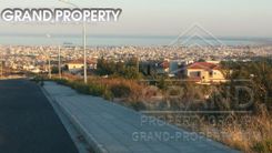 m2 -07162 - photo-2