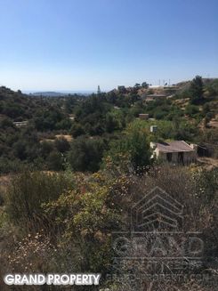 m2 -07164 - photo-1