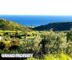 m2 -07168 - photo-4
