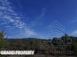 m2 -07173 - photo-1