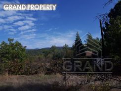 m2 -07173 - photo-2