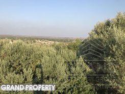m2 -07180 - photo-2