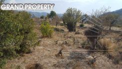 m2 -07198 - photo-5